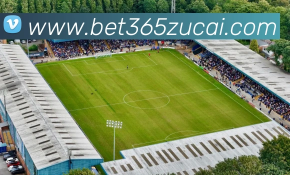 bet365中国官网发展历程